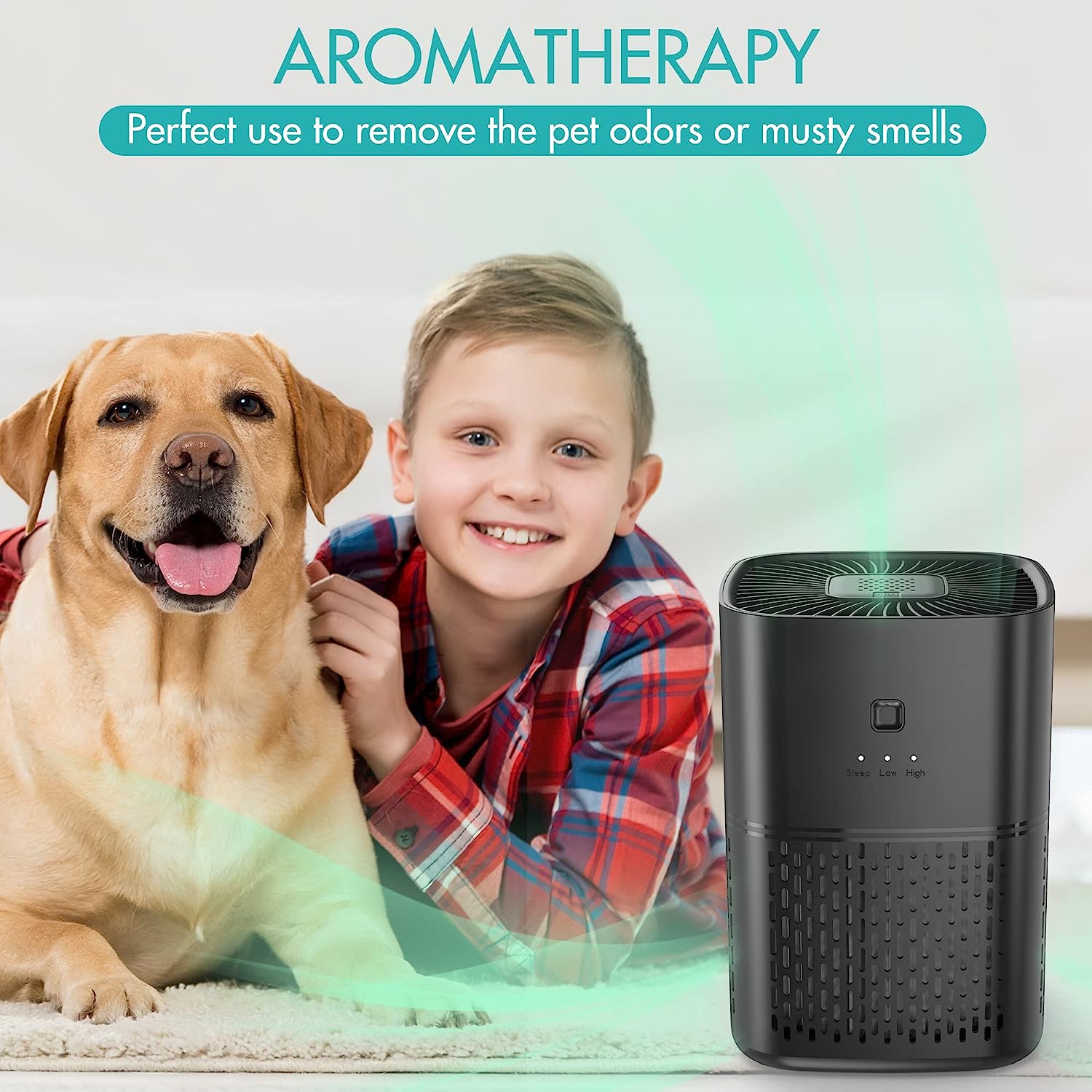 Curated visual reference: Air Purification Systems For Bedroom Reference: Addacc Air Purifiers For Bedroom Home Pets H13 Hepa Air